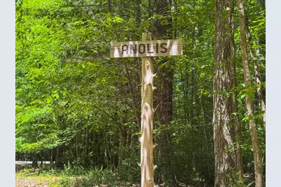 205 Anolis Drive, Pittsboro, NC 27312 - Photo 95