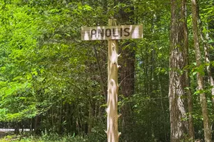 205 Anolis Dr, Pittsboro, NC 27312 - Photo 95