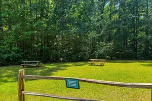 205 Anolis Dr, Pittsboro, NC 27312 - Photo 93