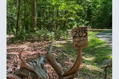 205 Anolis Drive, Pittsboro, NC 27312 - Photo 93