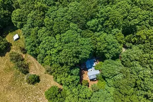 205 Anolis Dr, Pittsboro, NC 27312 - Photo 59