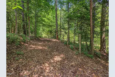 205 Anolis Drive, Pittsboro, NC 27312 - Photo 79