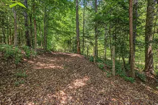 205 Anolis Dr, Pittsboro, NC 27312 - Photo 79
