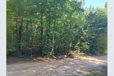 0 Gilliland Street, Warrenton, NC 27589 - Photo 3