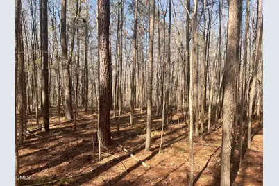 Lot 7 Fishing Creek Road, Enfield, NC 27823 - Photo 3