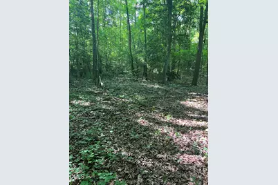 Lot 7 Fishing Creek Road, Enfield, NC 27823 - Photo 7