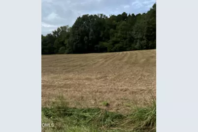 Lot 4 Hwy 264A, Bailey, NC 27807 - Photo 3