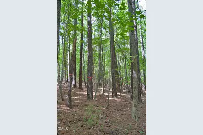 5301 Panther Creek Drive, Raleigh, NC 27603 - Photo 3