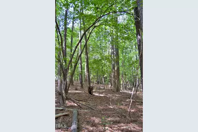 5301 Panther Creek Drive, Raleigh, NC 27603 - Photo 7