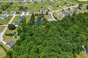 137 Bayberry Ln, Smithfield, NC 27577 - Photo 75
