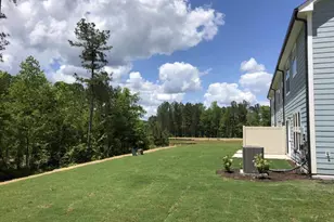 3231 Retama Run, Apex, NC 27562 - Photo 11