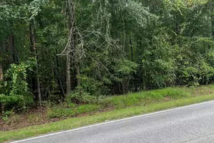 Lot 1 US Hwy 264A, Bailey, NC 27807 - Photo 1