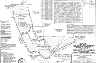 8262 NC-87, Snow Camp, NC 27349 - Photo 7