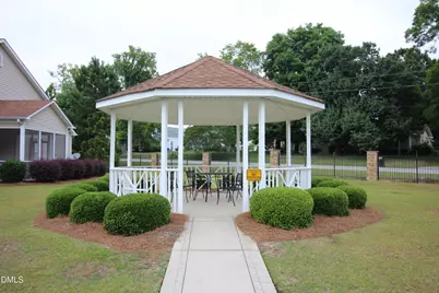 42 Old Trestle Court, Angier, NC 27501 - Photo 33