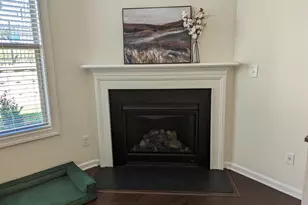114 White Crane Ct, Durham, NC 27713 - Photo 7