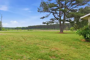 745 Tabron School Rd, Hollister, NC 27844 - Photo 37