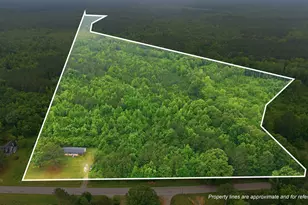 745 Tabron School Rd, Hollister, NC 27844 - Photo 27
