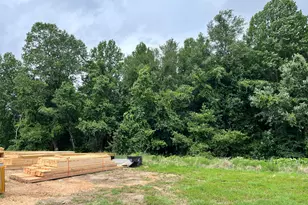 849 Lunar Light Dr, Wendell, NC 27591 - Photo 5