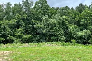 849 Lunar Light Dr, Wendell, NC 27591 - Photo 7