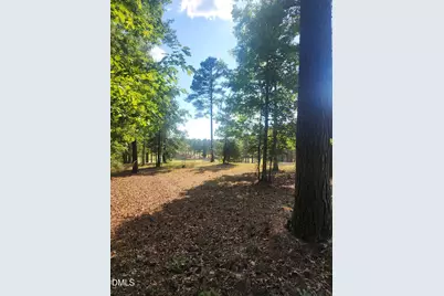 65 High Ridge Lane, Pittsboro, NC 27312 - Photo 1