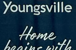 100 Conifer Ln, Youngsville, NC 27596 - Photo 29