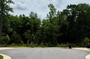 100 Conifer Ln, Youngsville, NC 27596 - Photo 27
