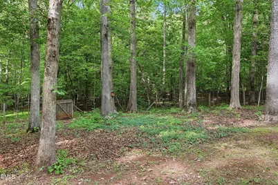 2415 Western Park Lane, Hillsborough, NC 27278 - Photo 41
