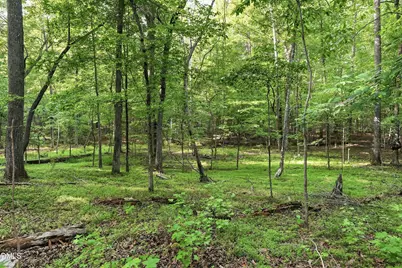 2415 Western Park Lane, Hillsborough, NC 27278 - Photo 43