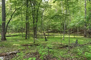 2415 Western Park Ln, Hillsborough, NC 27278 - Photo 43