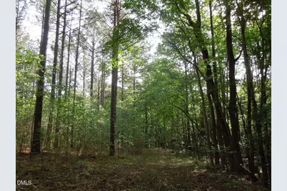 000 Glebe Road, Henderson, NC 27537 - Photo 21