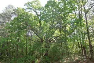 000 Glebe Rd, Henderson, NC 27537 - Photo 1