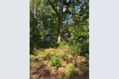 4425 Nc 903, Robersonville, NC 27871 - Photo 19