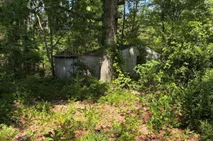 4425 NC-903, Robersonville, NC 27871 - Photo 19