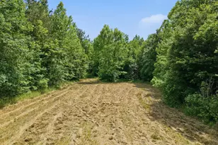 1656 Nc 42 Hwy, Moncure, NC 27559 - Photo 73