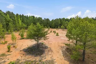 1656 Nc 42 Hwy, Moncure, NC 27559 - Photo 81