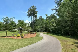 216 Mountain Maple Dr, Cary, NC 27519 - Photo 45