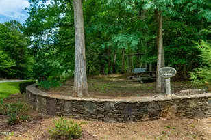 443 Valley Ln, Pittsboro, NC 27312 - Photo 77
