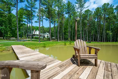 774 Running Springs Drive, Pittsboro, NC 27312 - Photo 73