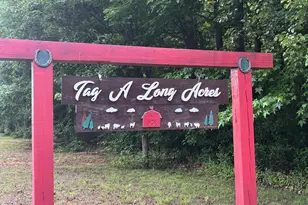 7791 US-158, Reidsville, NC 27320 - Photo 49
