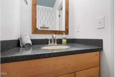 195 Shady Grove Road, Pittsboro, NC 27312 - Photo 23