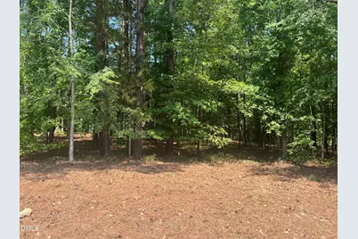 106 Spring Blossom Lane, Durham, NC 27705 - Photo 3