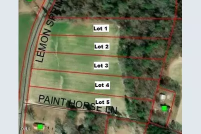 0 Lemon Springs Road, Sanford, NC 27332 - Photo 3