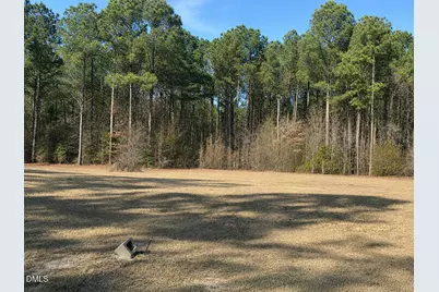290 Raynor Sands Drive, Dunn, NC 28334 - Photo 3