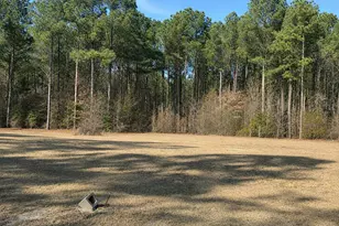 290 Raynor Sands Dr, Dunn, NC 28334 - Photo 3