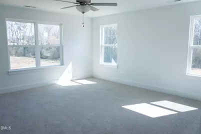 74 Mendenhall Drive, Angier, NC 27501 - Photo 19
