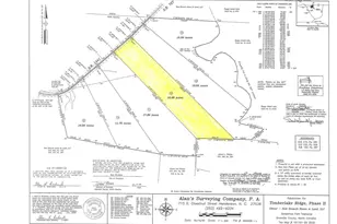 2700 Propus Wilkinson Rd, Bullock, NC 27507 - Photo 35
