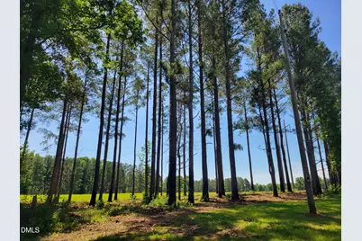 0 Hicks Farm Road, Staley, NC 27355 - Photo 25