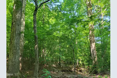 0 Hicks Farm Road, Staley, NC 27355 - Photo 9