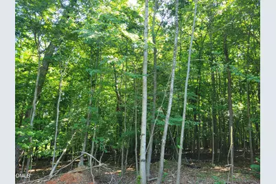 0 Hicks Farm Road, Staley, NC 27355 - Photo 7