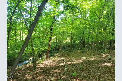 0 Hicks Farm Road, Staley, NC 27355 - Photo 13